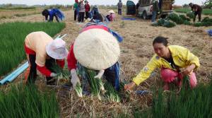 eywwb5wu57mynkotty2jr0rqx8bcbcsyq9dqh1fq8kyozmf3oytb4r