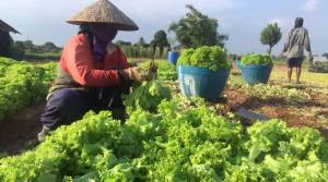 eywwb5wu57mynkottyxwskxdqyl1u5n05h8o09jl9wcxyl2ijwtlms